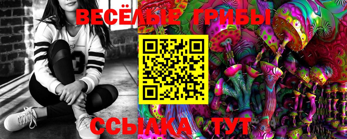 Псилоцибиновые грибы Psilocybine cubensis  Вход с VPN  где купить наркоту  Алушта 